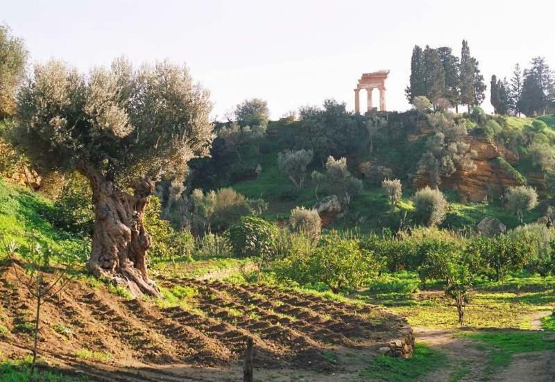 Apartamento Dimora Dei Greci *